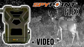 SPYPOINT FLEX | Field Review & Trail Cam Video COMPILATION!