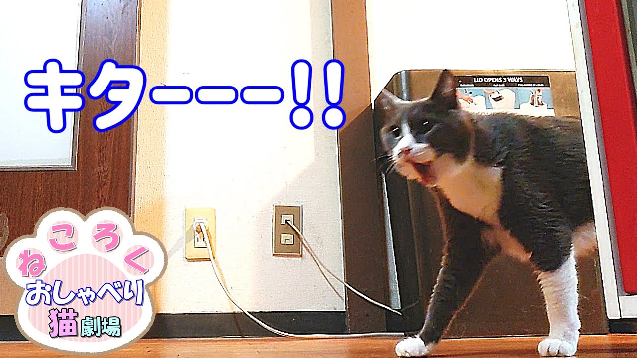 ねころく様 ねころく | ＃OSHINEKO