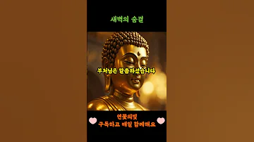 새벽의 숨결 