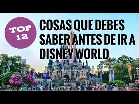 Video: Cosas que no puedes traer a Disney World o Disneyland