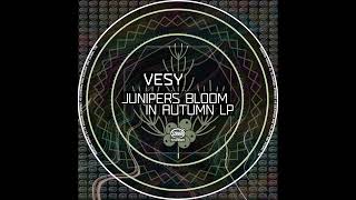 Vesy - Junipers Bloom In Autumn Original Mix Preview