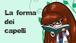 La forma dei capelli - Teoria del Capello