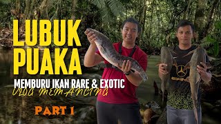 EP 1. MENCARI SPESIS RARE & EXOTIC SUNGAI PAHANG. KENERAK/BAUNG/TOMAN