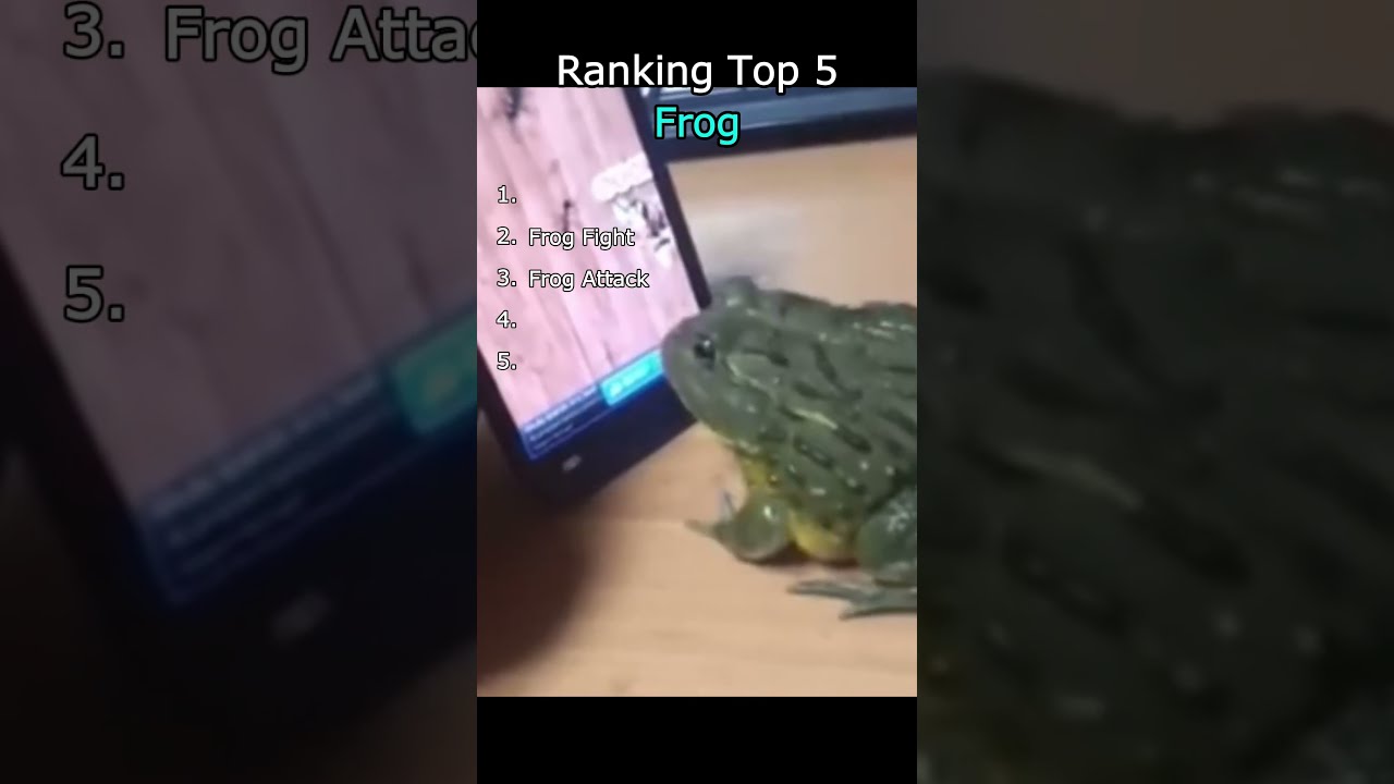 Top 5 Frog