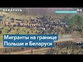 Анна Любакова: режим Лукашенко целенаправленно завозит людей из Ближнего Востока