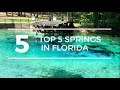 TOP 5 SPRINGS in FLORIDA with a CAMPGROUND