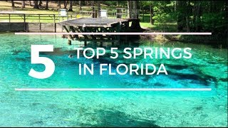 TOP 5 SPRINGS in FLORIDA with a CAMPGROUND