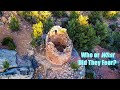 We Found A Mysterious Round Structure On Google Earth And Backpacked Out To Find It.