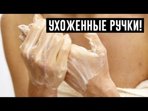 Video: Helminthostachys Zeylanica Mazina Aknu Steatozi Un Rezistenci Pret Insulīnu Uztura Izraisītām Pelēm