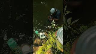 A Week before 🇵🇬Turns 50 🎉