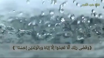 حالات واتس ، ستوريات ♡ماهر المعيقلي♡ آيه ٢٣ من سورة الأسراء❤