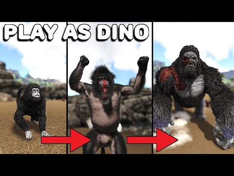 THE GREAT APE PROGRESSION LINE | PLAY AS DINO | ARK SURVIVAL EVOLVED