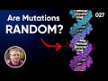 Are mutations random or do cells control their evolution