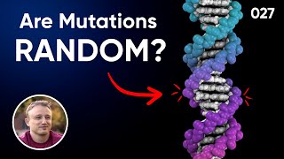 Are Mutations Random Or Do Cells Control Their Evolution?