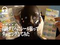 【ASMR】成人男性がシールでASMRしてみた動画🌃