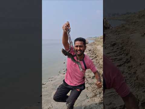 Big Catfish Throwing For Shark fish 2026 #fishing #fish #lurefishing