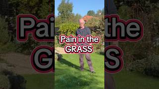 GREEN GRASS but weeds #lawncare #lawnmaintainence #patchylawn #weedylawn