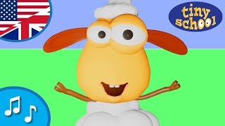 Morning Song nursery rhyme for children with the Sheep - Nursery Rhyme for children - tinyschool