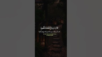 قال رب إني ظلمت نفسي #تلاوة_خاشعة #foryou #حالات_واتساب #اكسبلور #قرآن #قران_كريم
