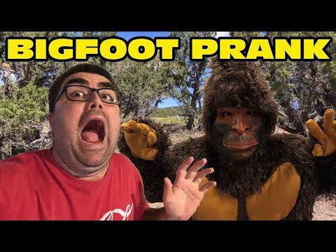 Video: Bigfoot: En Skremmende Virkelighet Eller En Tullete Prank - Alternativ Visning