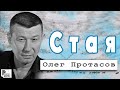 Олег Протасов - Стая (Альбом 2018) | Русский шансон