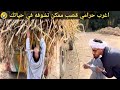 اضحك من قلبك مع اغرب حرامي قصب ممكن تشوفه في حياتك سعيد الاسطوره عم شوقي 