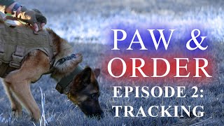 Paw and Order: Episode 2