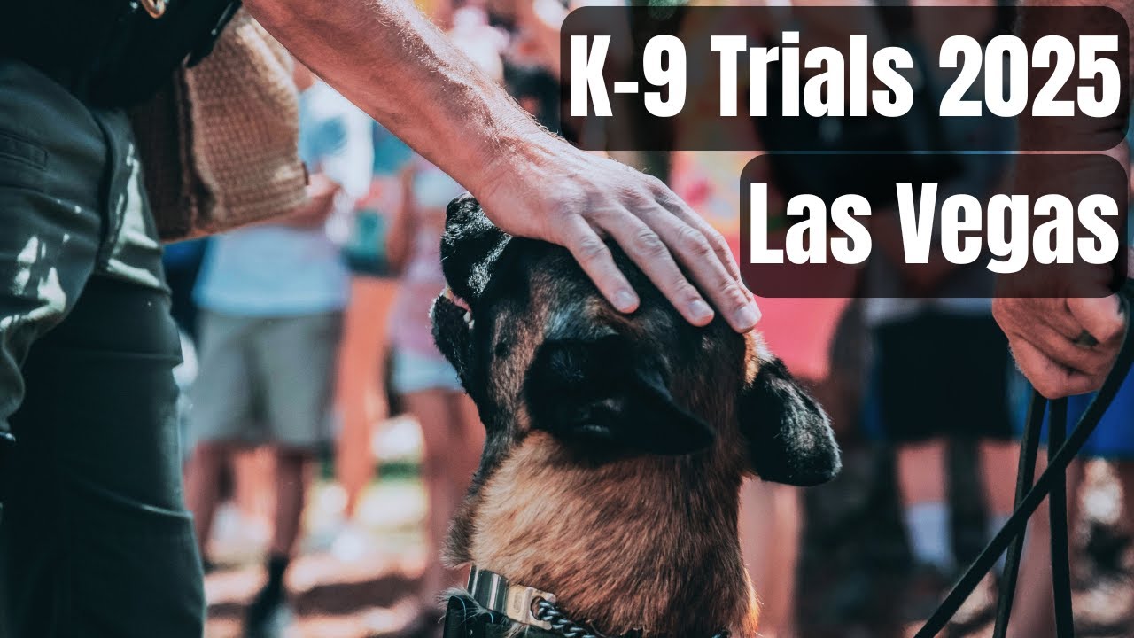 Fur-ocious Fun: K-9 Police Show 2025 Unleashed 🐶 Las Vegas