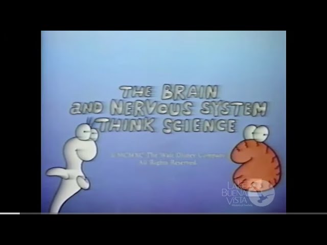 Restored VHS: Brain & The Nervous System Think Science (The