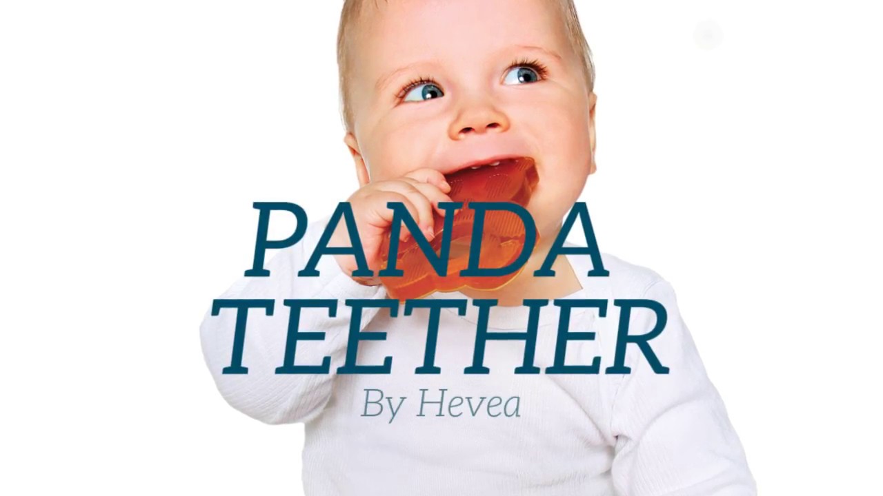 hevea panda teether