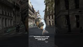 SocialRails is how I took back control over my social media