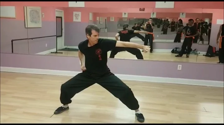 Ng Lun Chui Kung Fu Choy Lee Fut