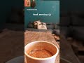 صباح الخير ...