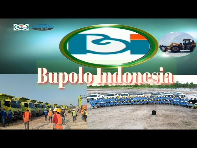 Tem Produksi Bupolo Indonesia 2023 class=