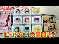 【鬼滅の刃】おひるねこシリーズ メタルカードコレクション 禰豆子の収納箱【開封！】