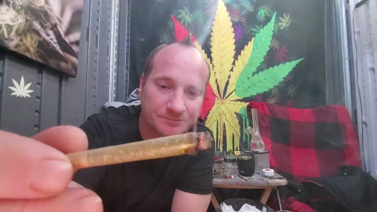 Animal Face by fig farm total thc 45.92