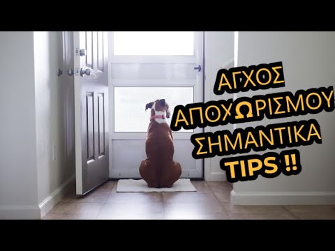 Βίντεο: Πώς να αντιμετωπίσετε τη δυσκοιλιότητα σε σκύλους: 9 βήματα (με εικόνες)