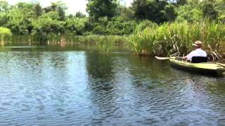 Everglades Kayak Tour