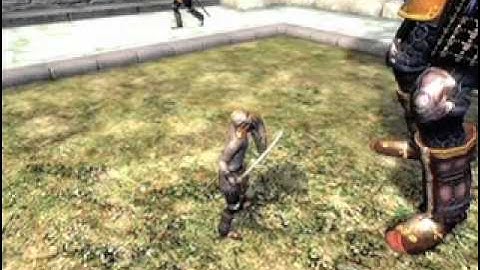 Oblivion 22 - The Secret of Cloud Ruler Temple.avi