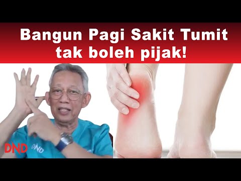 Video: Heeling In: Cara Tumit Pada Tumbuhan Dan Pokok