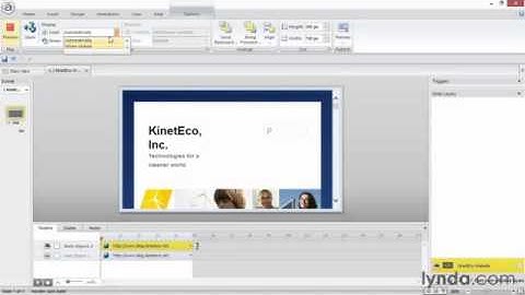 Articulate Storyline Advanced Techniques lecture 17