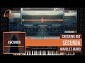 Checking out secunda by wavelet audio