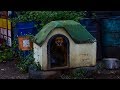 A Man Gave A Stray This Shelter For Her Pups But A Week Later Realized Their Home Had Been Invaded A Man Gave A Stray This Shelter For Her Pups But A Week Later Realized Their Home Had Been Invaded