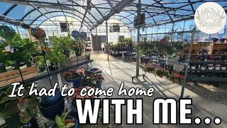 Come Houseplant Shopping With Me | Jung Garden Center Stevens Point Greenhouse Tour