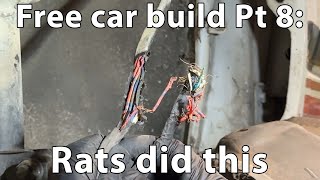 Free Car Part 8: It's rat damage time.