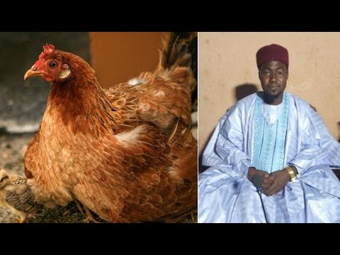 FASSARAR MAFARKIN KAZA KAJI