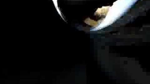 HQ video rendering with realtime FFT data 01