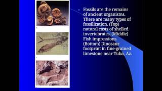 principles of stratigraphy 2