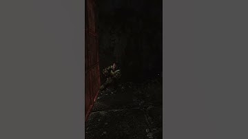 Why Is Extract Camping SOOO Popular NOW!? #escapefromtarkov #tarkov #gaming #games #shorts