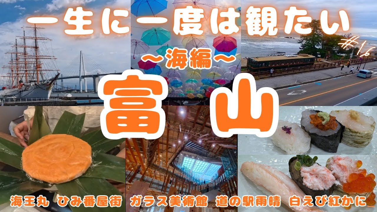 日本一周【ハイエース車中泊】富山の魅力的な道の駅満載！海鮮が美味しすぎる！